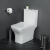 Унитаз-моноблок безободковый с сиденьем BelBagno NEON BB8617CPR-MN/SC