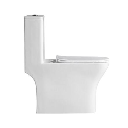 Унитаз-моноблок безободковый с сиденьем BelBagno NEON BB8617CPR-MN/SC