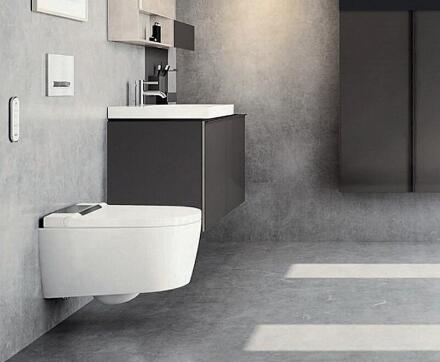 унитаз_биде_geberit_aquaclean_sela_146_224_11_1_подвесной_с_сиденьем_микролифт_7.jpg