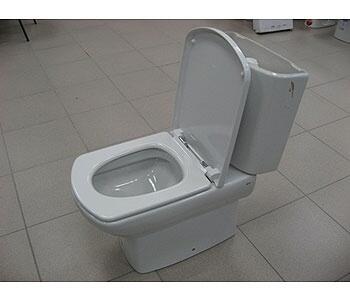 Крышка-сиденье Roca Dama Senso ZRU9000041 c микролифтом в современном стиле