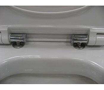 Крышка-сиденье Roca Dama Senso ZRU9000041 c микролифтом в современном стиле