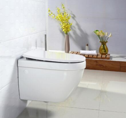 Крышка-сиденье BelBagno BB2031SC в современном стиле